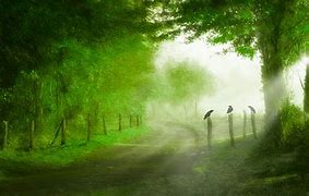 事实上,运势是属于你个人的,你的运势好与不好跟你朋友没有牵连的,但是对于家人,一定是绝对有关系的,若是你对于朋友是重要的,你的朋友一定会想办法,来跟你联系,若无心要找你的朋友,你给他新的手机号,她也不会打给你的。多关心一下你自己和家人吧。