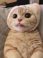 很早在人们意识里都把移动钻石卡、金卡VIP是属于被人羡慕的一群,他们有着属于自己的豪宅,有着自己专有或专用的名车,有着几十乃至数千万元的产业……甚至,就连他们的手机号码也被贴上了身份和财富的标签。