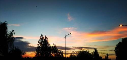 8S7hQvHMs.jpg 说起数字“7”,一些南方人比较忌讳这个数字。因为风俗中有人过世要过“头七”,他们觉得“7”并不是吉利之数,是继“4”之后最不喜欢的数字。